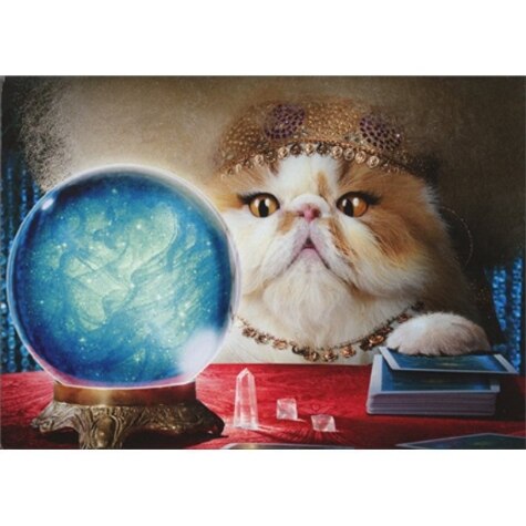 Cat fortune teller deals